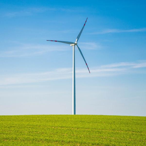 Wind turbine in a field